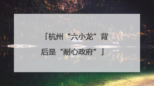 杭州“六小龙”背后是“耐心政府”