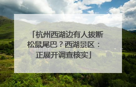 杭州西湖边有人拔断松鼠尾巴？西湖景区：正展开调查核实