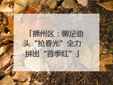 播州区：铆足劲头“抢春光”全力拼出“首季红”