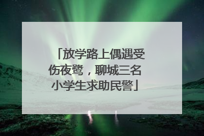 放学路上偶遇受伤夜鹭，聊城三名小学生求助民警