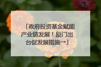 政府投资基金赋能产业链发展！厦门出台促发展措施→