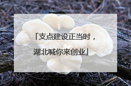 支点建设正当时，湖北喊你来创业