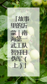 故事里的沂蒙｜南海第一武工队智歼日伪军（上）