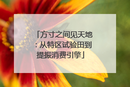 方寸之间见天地：从特区试验田到提振消费引擎