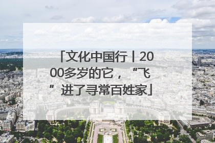 文化中国行丨2000多岁的它，“飞”进了寻常百姓家
