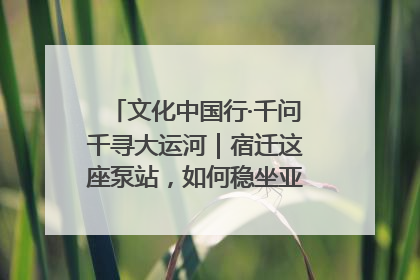文化中国行·千问千寻大运河｜宿迁这座泵站，如何稳坐亚洲第一宝座？