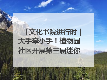 文化书院进行时｜大手牵小手！植物园社区开展第三届迷你马拉松活动