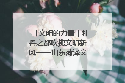 文明的力量｜牡丹之都吹拂文明新风——山东菏泽文明创建一线见闻
