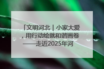 文明河北｜小家大爱，用行动绘就和谐画卷——走近2025年河北省“最美家庭”