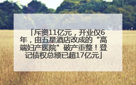 斥资11亿元，开业仅6年，由五星酒店改成的“高端妇产医院”破产重整！登记债权总额已超17亿元