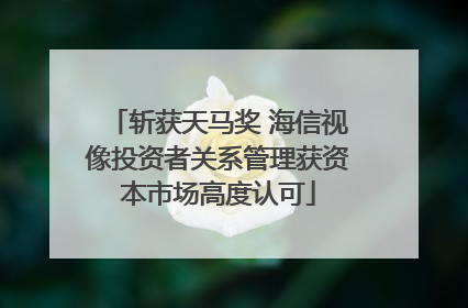 斩获天马奖 海信视像投资者关系管理获资本市场高度认可