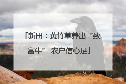 新田：黄竹草养出“致富牛” 农户信心足