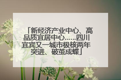 新经济产业中心、高品质宜居中心……四川宜宾又一城市极核两年突进、破茧成蝶