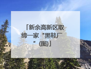 新余高新区取缔一家“黑鞋厂”(图)