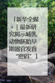 新华全媒+｜最新研究揭示哺乳动物胚胎早期器官发育“密码”