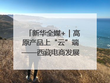 新华全媒+｜高原产品上“云”端——西藏电商发展一线观察