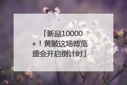 新品10000+！黄陂这场博览盛会开启倒计时