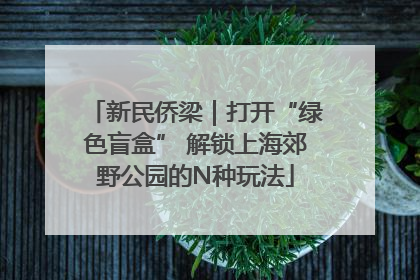 新民侨梁｜打开“绿色盲盒” 解锁上海郊野公园的N种玩法