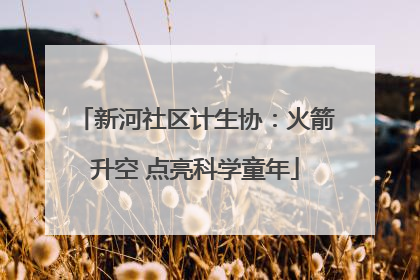 新河社区计生协：火箭升空 点亮科学童年