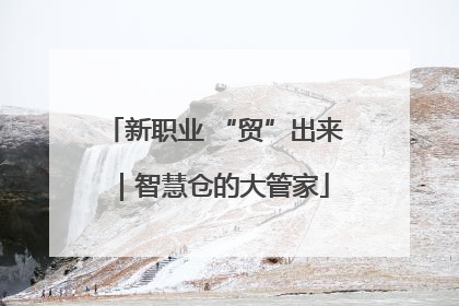 新职业 “贸”出来｜智慧仓的大管家