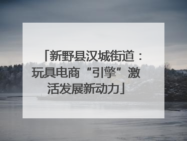 新野县汉城街道：玩具电商“引擎”激活发展新动力