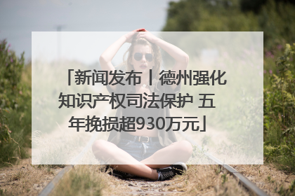 新闻发布丨德州强化知识产权司法保护 五年挽损超930万元