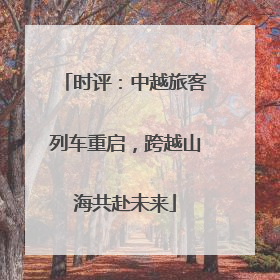 时评：中越旅客列车重启，跨越山海共赴未来