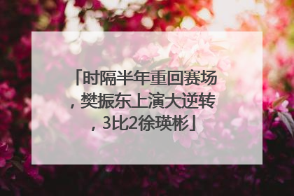 时隔半年重回赛场，樊振东上演大逆转，3比2徐瑛彬