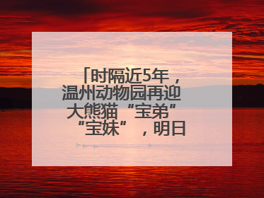 时隔近5年，温州动物园再迎大熊猫“宝弟”“宝妹”，明日正式开馆！