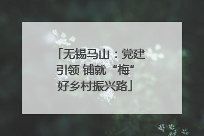 无锡马山：党建引领 铺就“梅”好乡村振兴路
