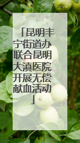 昆明丰宁街道办联合昆明大滇医院开展无偿献血活动