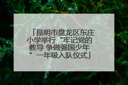 昆明市盘龙区东庄小学举行“牢记党的教导 争做强国少年”一年级入队仪式