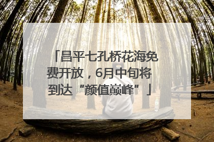 昌平七孔桥花海免费开放，6月中旬将到达“颜值巅峰”