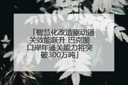 智慧化改造驱动通关效能跃升 巴克图口岸年通关能力将突破300万吨