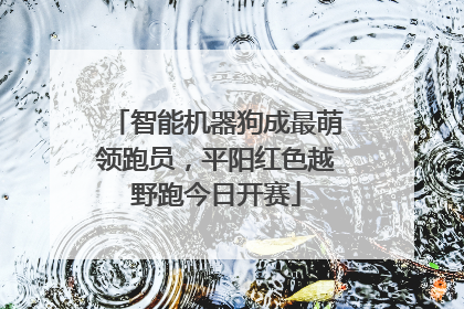 智能机器狗成最萌领跑员，平阳红色越野跑今日开赛