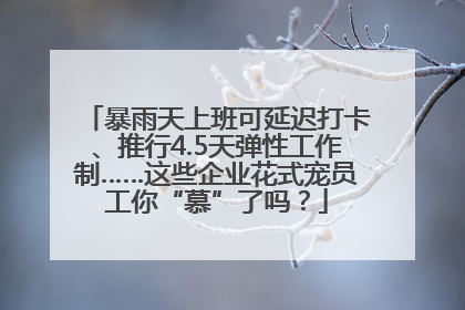 暴雨天上班可延迟打卡、推行4.5天弹性工作制……这些企业花式宠员工你“慕”了吗？