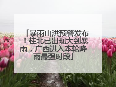 暴雨山洪预警发布！桂北已出现大到暴雨，广西进入本轮降雨最强时段
