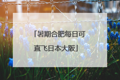 暑期合肥每日可直飞日本大阪