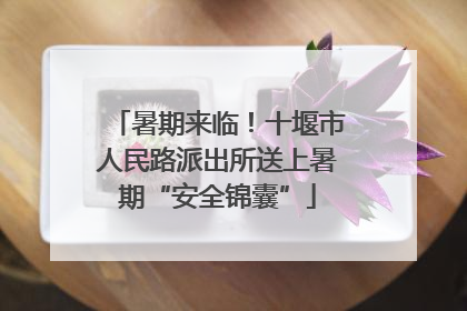 暑期来临！十堰市人民路派出所送上暑期“安全锦囊”