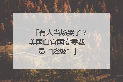 有人当场哭了？美国白宫国安委裁员“降级”