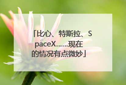 比心、特斯拉、SpaceX……现在的情况有点微妙