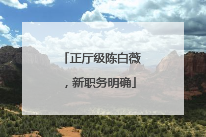 正厅级陈白薇，新职务明确