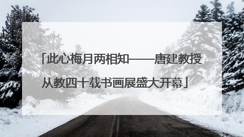 此心梅月两相知——唐建教授从教四十载书画展盛大开幕