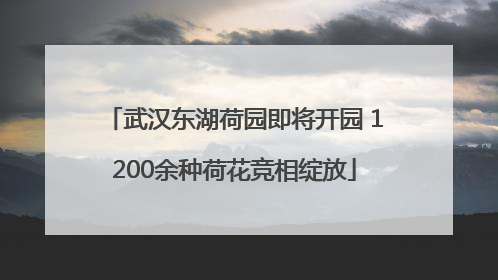 武汉东湖荷园即将开园 1200余种荷花竞相绽放