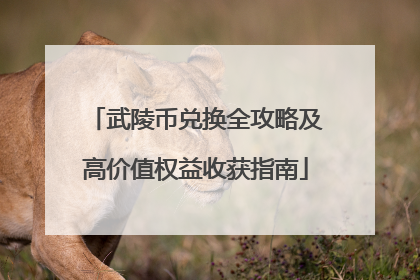 武陵币兑换全攻略及高价值权益收获指南