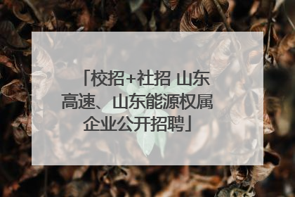 校招+社招 山东高速、山东能源权属企业公开招聘