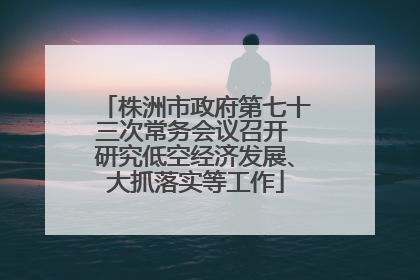 株洲市政府第七十三次常务会议召开 研究低空经济发展、大抓落实等工作