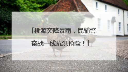 桃源突降暴雨，民辅警奋战一线抗洪抢险！