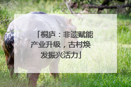 桐庐：非遗赋能产业升级，古村焕发振兴活力