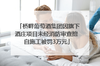 桥畔葡萄酒集团因旗下酒庄项目未经消防审查擅自施工被罚3万元